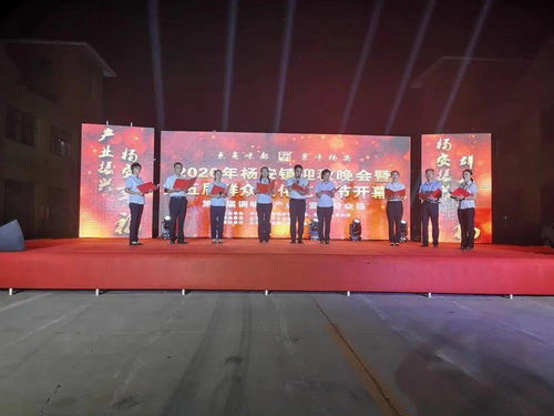 太熱鬧啦！2020楊安鎮迎秋晚會暨第五屆群眾文化藝術節盛大開幕